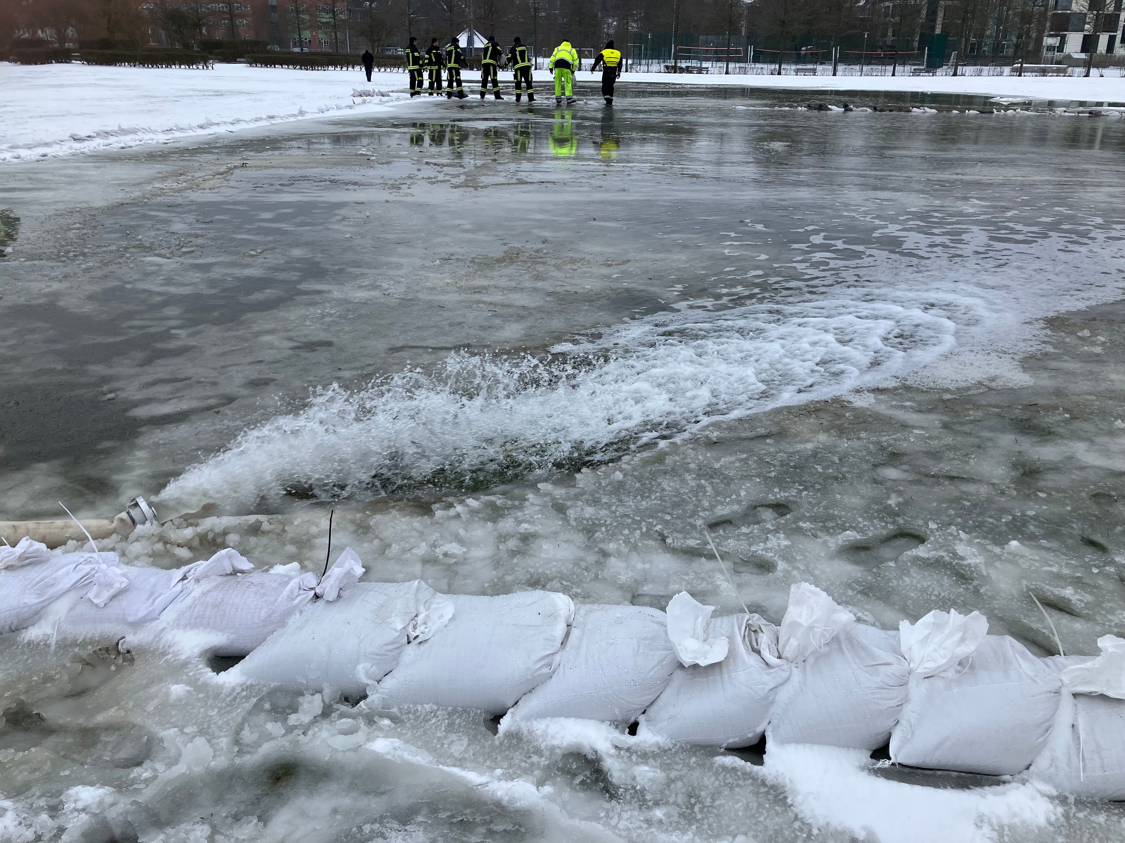 Eisvergnügen auf den Königswiesen in Schleswig