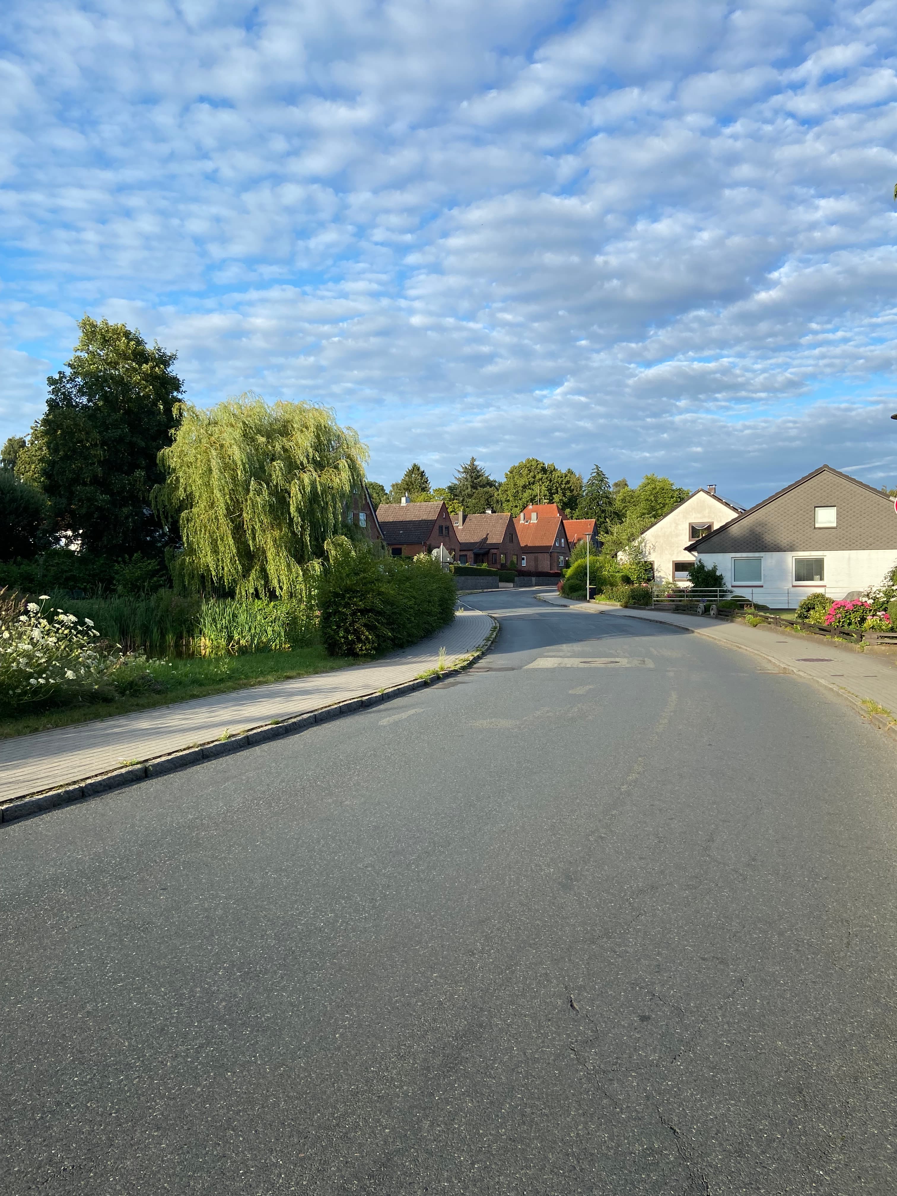 Sanierung der Klosterhofer Straße in Schleswig zwischen Gallberg und Möwenweg
