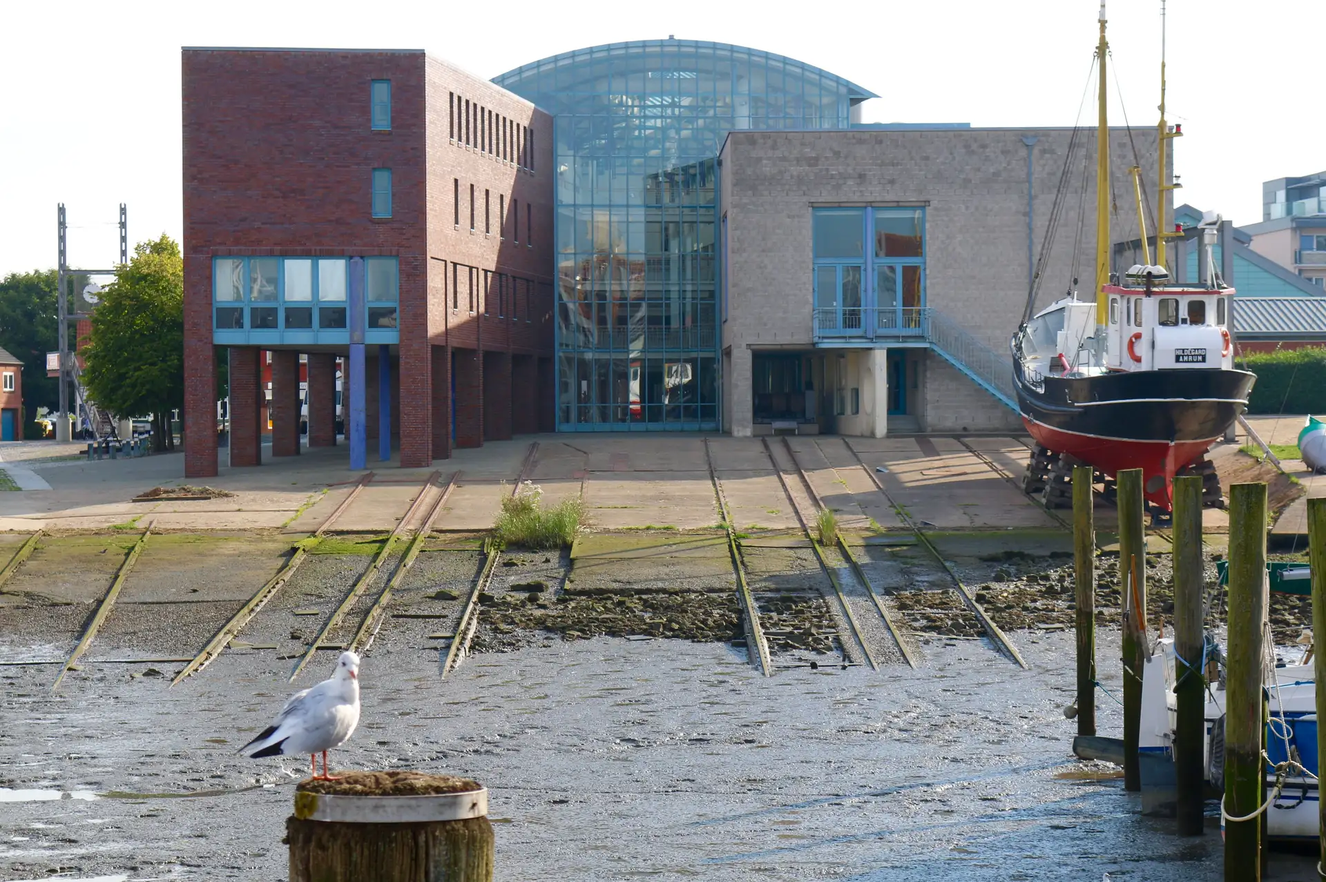 Girls´ Day und Boys´ Day in Husum: Eine Entdeckungsreise in die Berufswelt