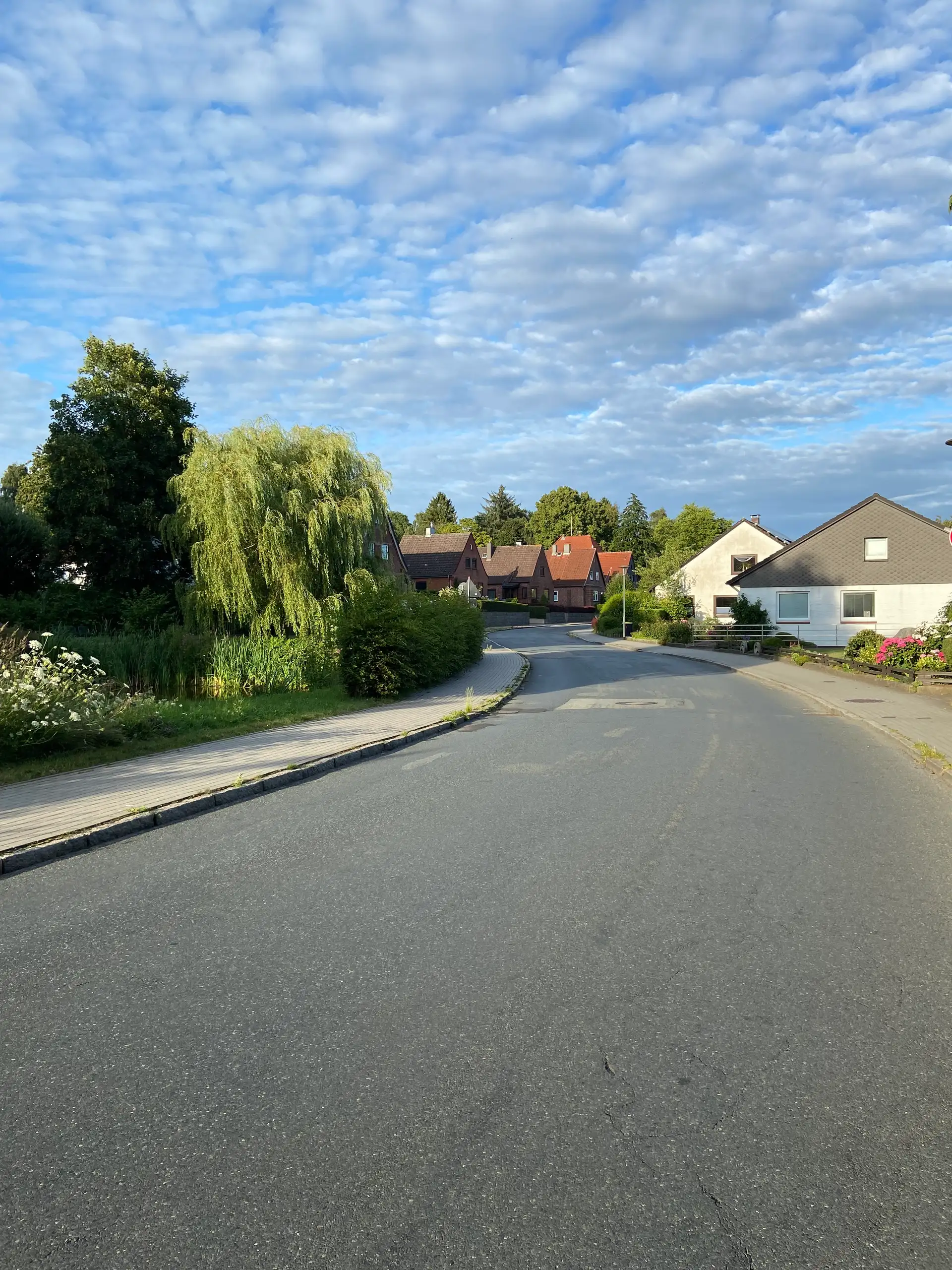 Sanierung der Klosterhofer Straße in Schleswig zwischen Gallberg und Möwenweg