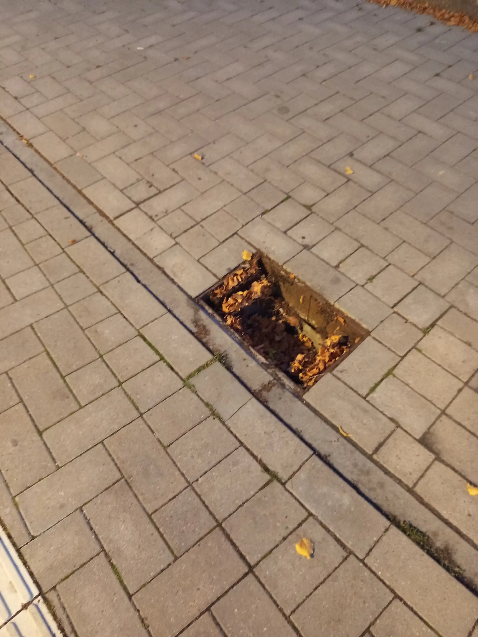 Fehlender Gullydeckel (Vandalismus im Umfeld des Bahnhofs).