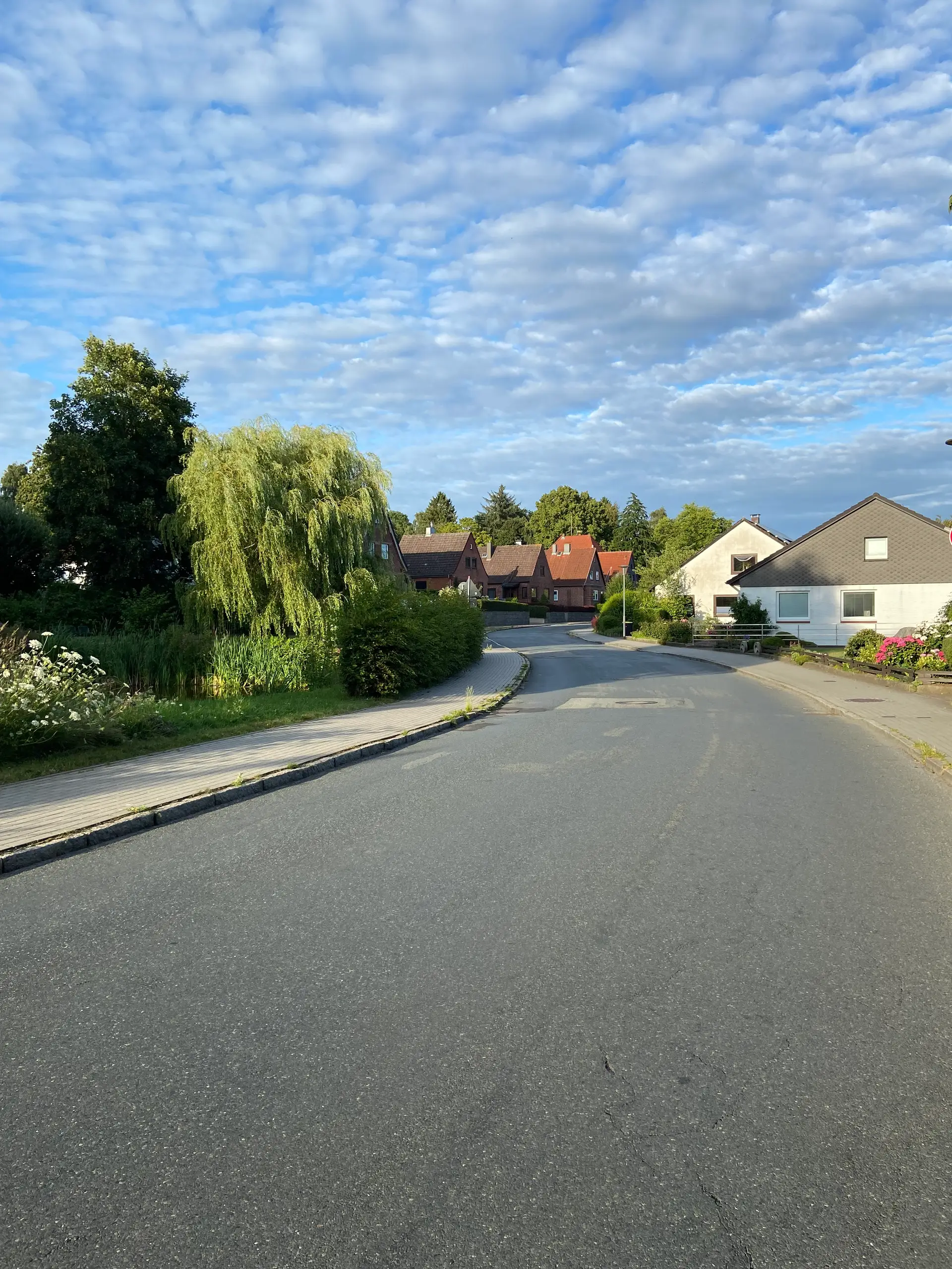 Sanierung der Klosterhofer Straße in Schleswig zwischen Gallberg und Möwenweg
